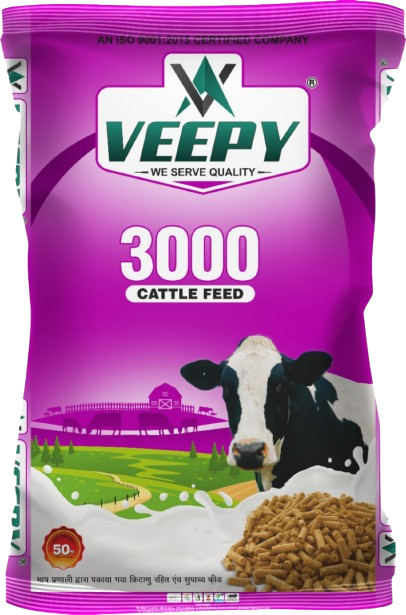 3000 Feed
